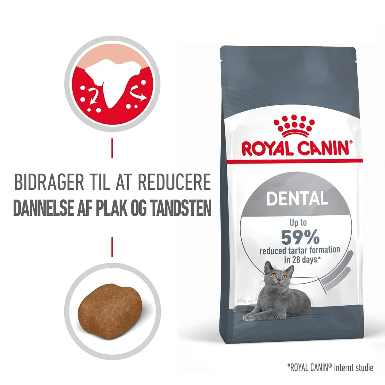Royal Canin Dental Care 8 kg